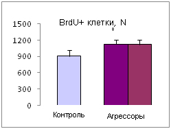 http://www.bionet.nsc.ru/files/2014/nauka/vajneyshie-rezultaty/52.jpg