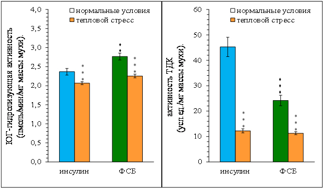 http://www.bionet.nsc.ru/files/2014/nauka/vajneyshie-rezultaty/65.jpg