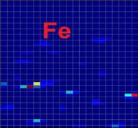 Description: Fe_71_net.JPG