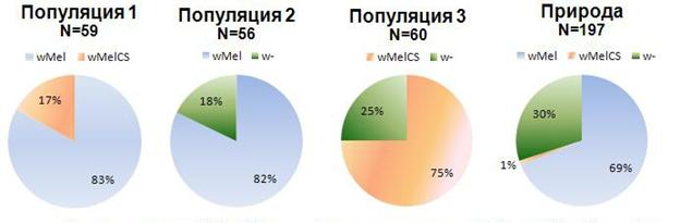 Диаграмма 3