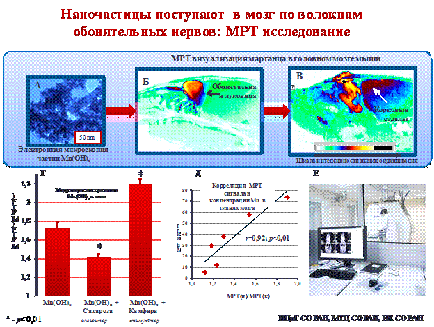http://www.bionet.nsc.ru/files/2013/nauka/result/clip_image152.gif