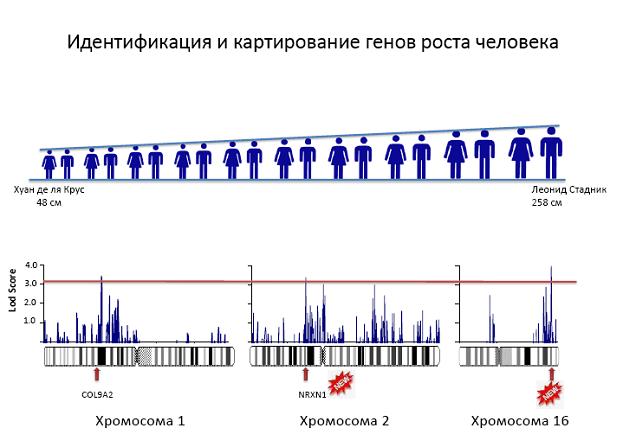 http://www.bionet.nsc.ru/images/important/1.JPG