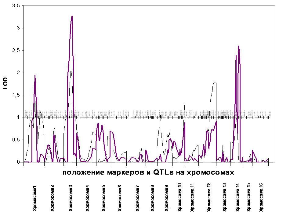 http://www.bionet.nsc.ru/images/important/32.png