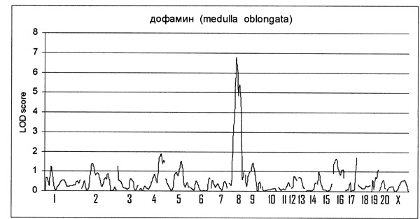 http://www.bionet.nsc.ru/images/important/picture2.jpg