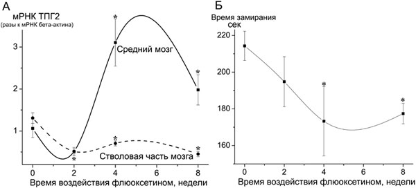 http://www.bionet.nsc.ru/images/important/picture5.jpg