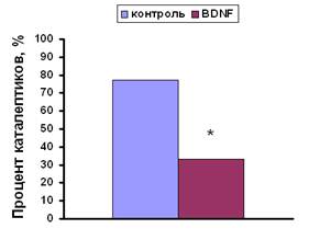 http://www.bionet.nsc.ru/images/important/index_clip_image002.jpg