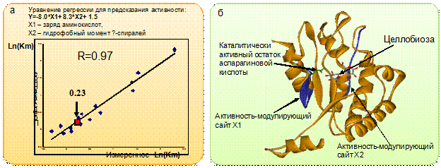 http://www.bionet.nsc.ru/images/important/index_clip_image002_0000.gif