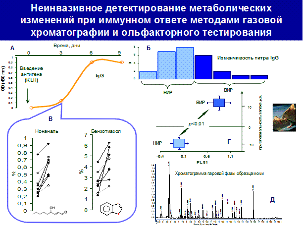 http://www.bionet.nsc.ru/images/important/index_clip_image014_0002.gif