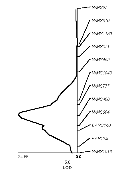 http://www.bionet.nsc.ru/images/important/result2002_028.png