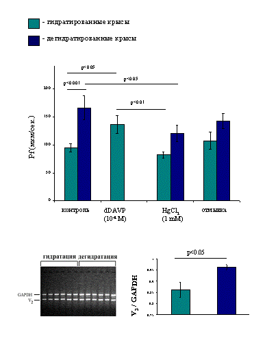 http://www.bionet.nsc.ru/images/important/result2003_030.gif