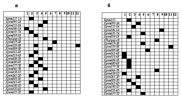 http://www.bionet.nsc.ru/images/important/result2004_p7.gif