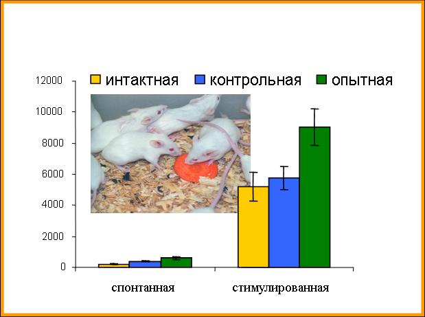 http://www.bionet.nsc.ru/images/important/result2006_010.jpg