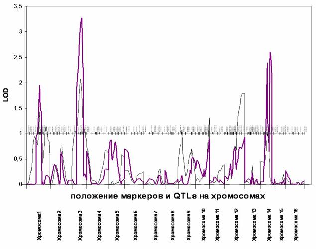 http://www.bionet.nsc.ru/images/important/result2006_028.jpg