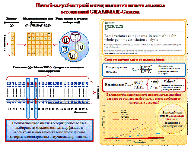 http://www.bionet.nsc.ru/files/2013/nauka/result/clip_image069.gif