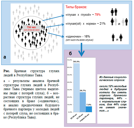 http://www.bionet.nsc.ru/files/2013/nauka/result/clip_image240.gif